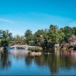 6th Shillong Literary Festival Set to Open Amid Cherry Blossoms at Ward’s Lake