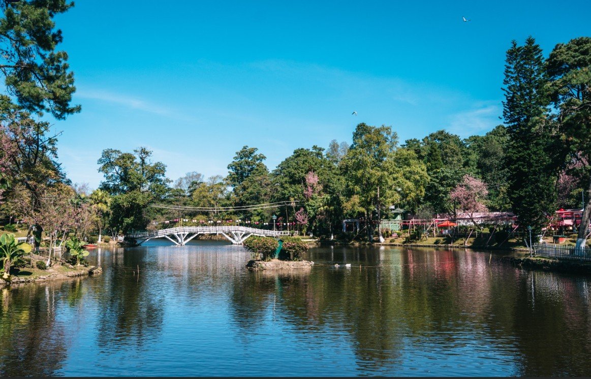 6th Shillong Literary Festival Set to Open Amid Cherry Blossoms at Ward’s Lake
